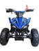 Kids Quad Bikes 49cc Petrol Motor in blue