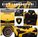 12V Kids Lamborghini Sian in Yellow Color view of different parts